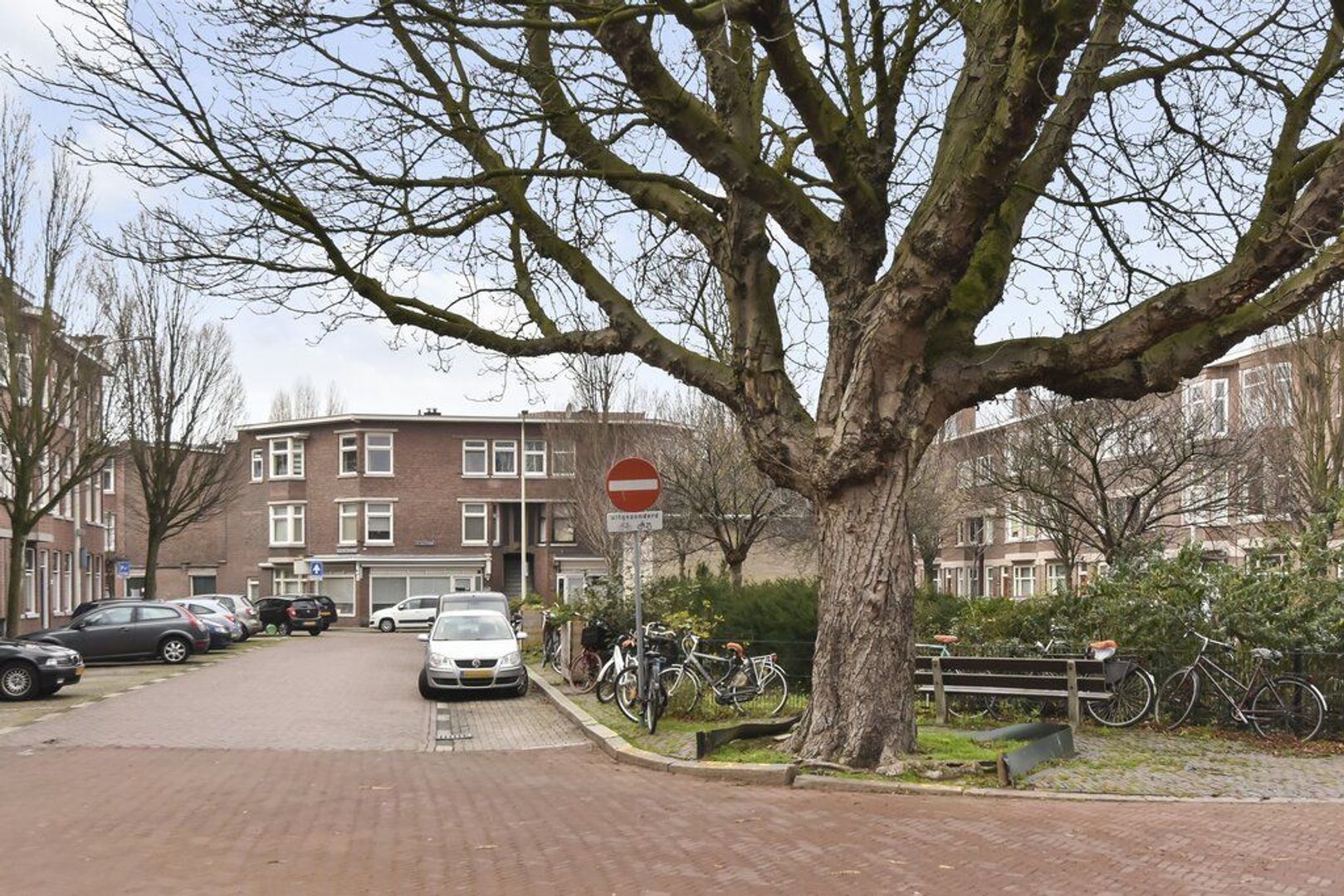 Willem van Outhoornstraat 101, Den Haag foto-29 blur