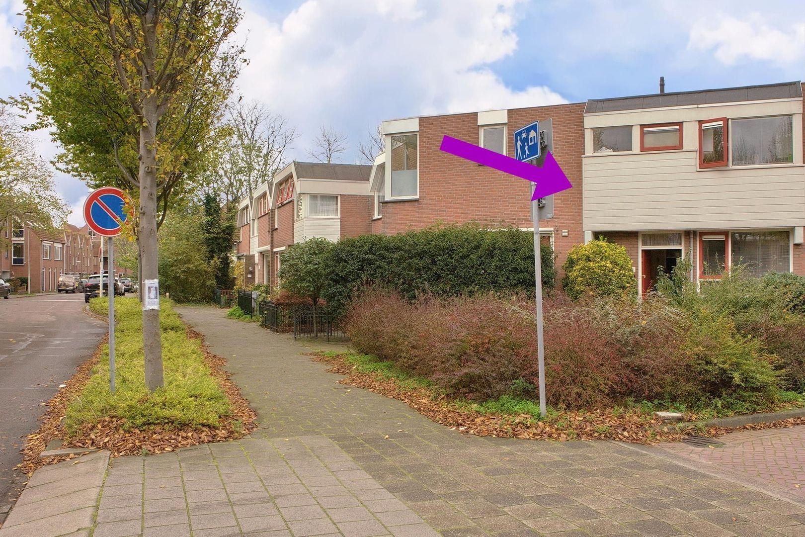 Strausslaan 111, Den Haag foto-12 blur