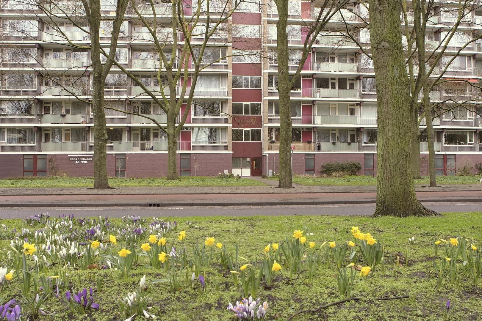 Nieuwendamlaan 80, Den Haag foto-17 blur