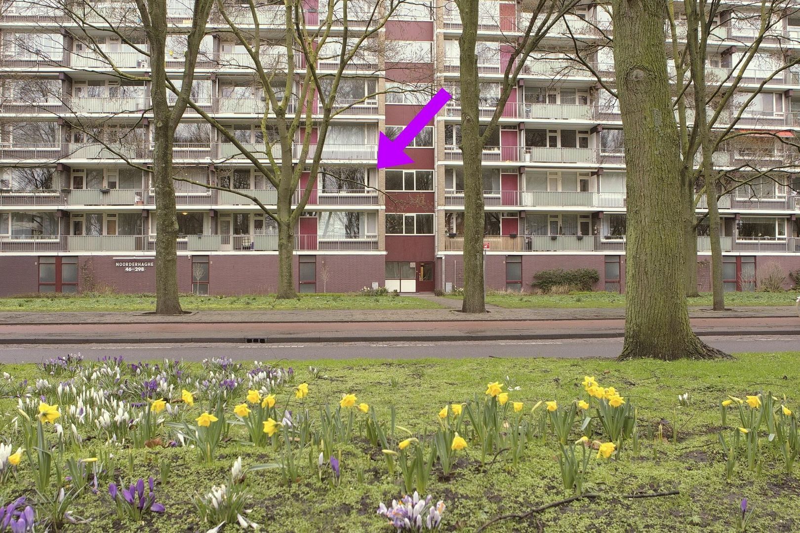 Nieuwendamlaan 80, Den Haag foto-18 blur