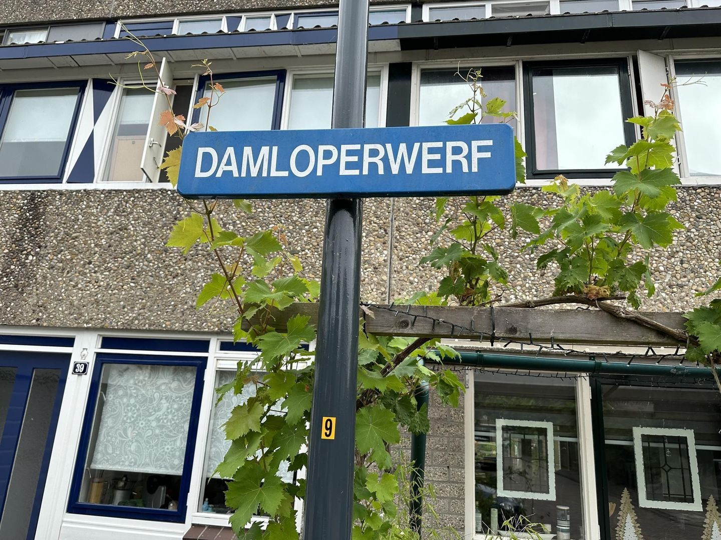 Damloperwerf 20, Leiden foto-36 blur