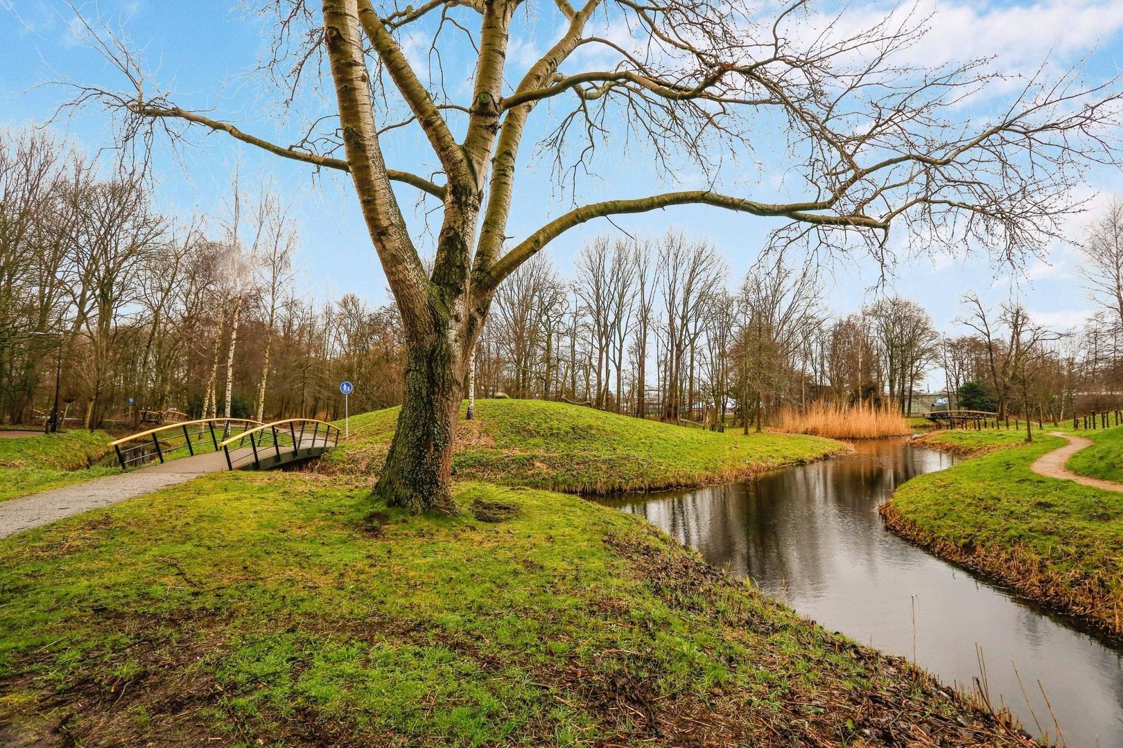 Via Verdi 59, Voorburg foto-5 blur