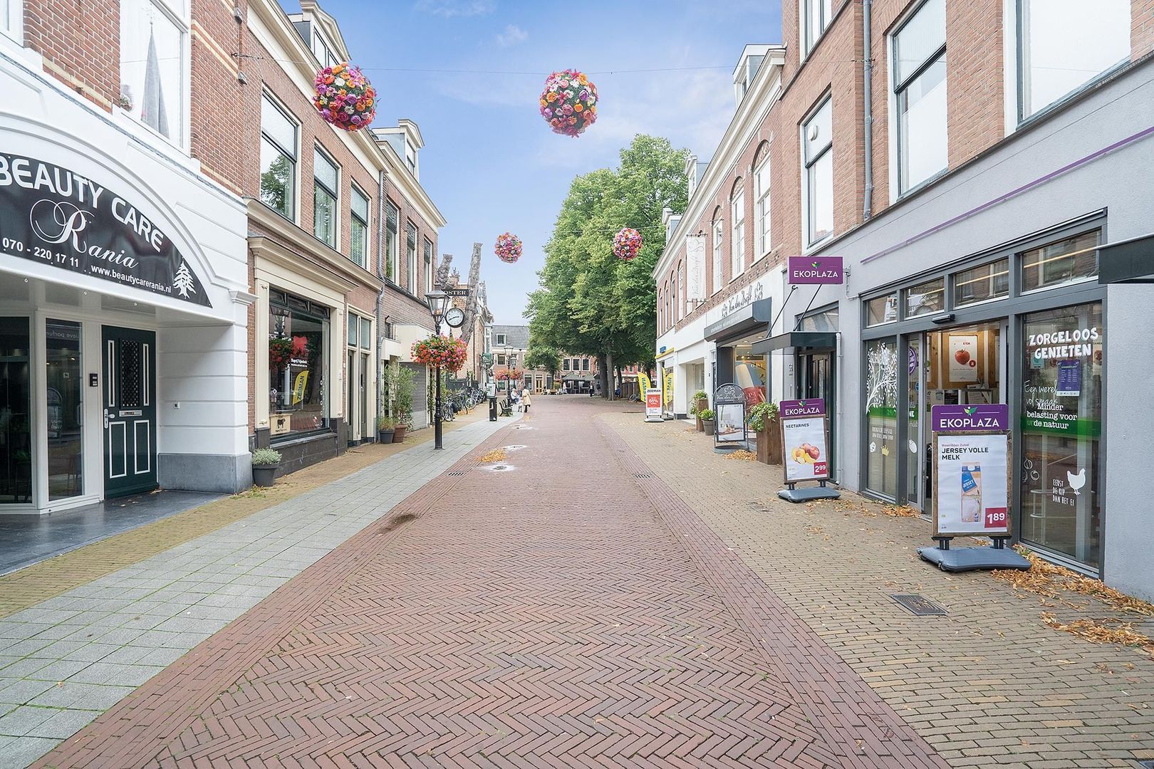 Ottoburgstraat 31, Rijswijk foto-34 blur
