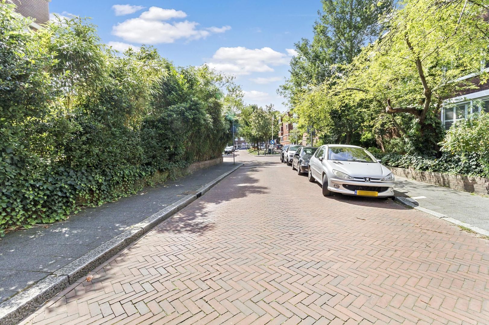 Van Neckstraat 14, Den Haag foto-41 blur