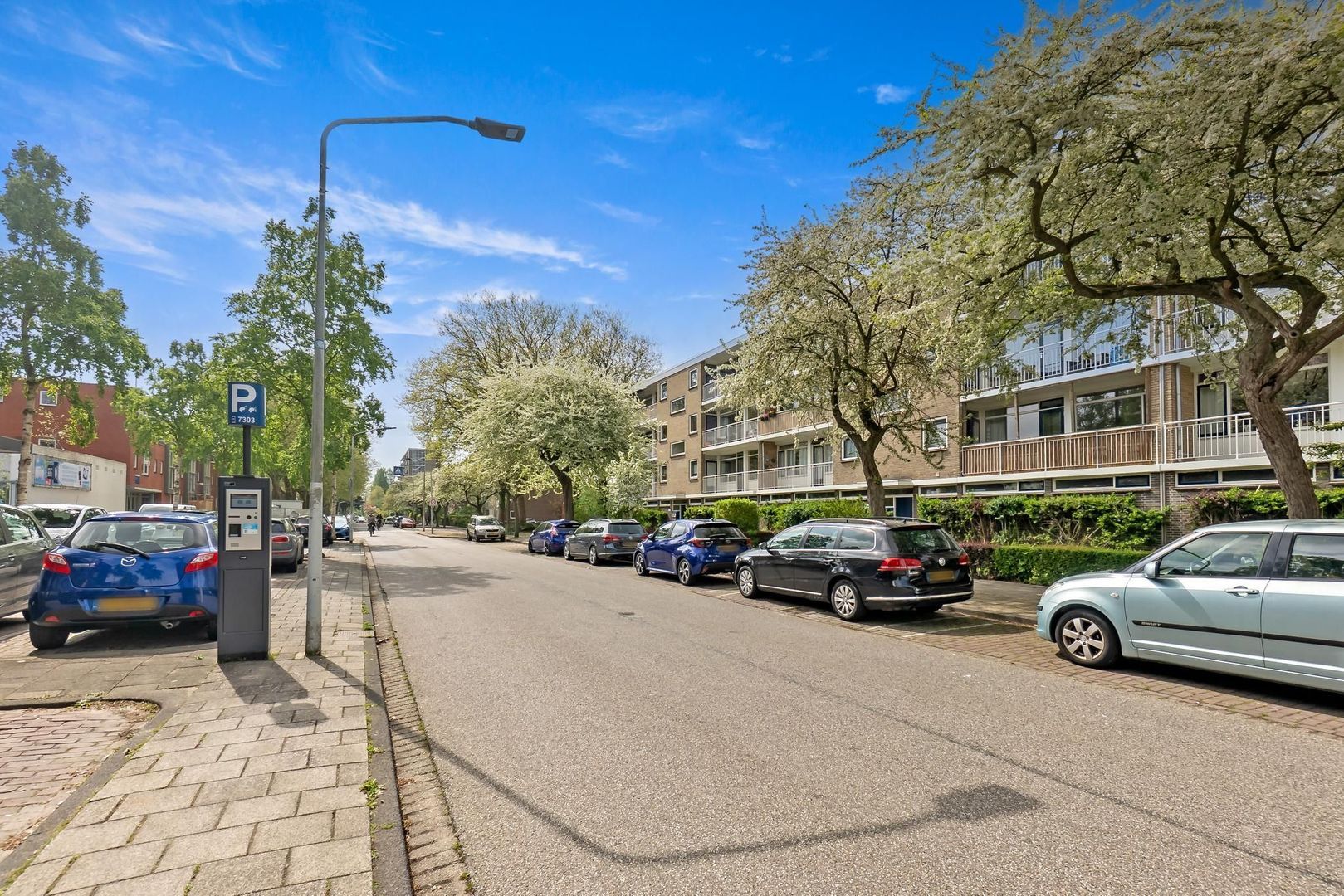 Brahmslaan 275, Leiden foto-54 blur