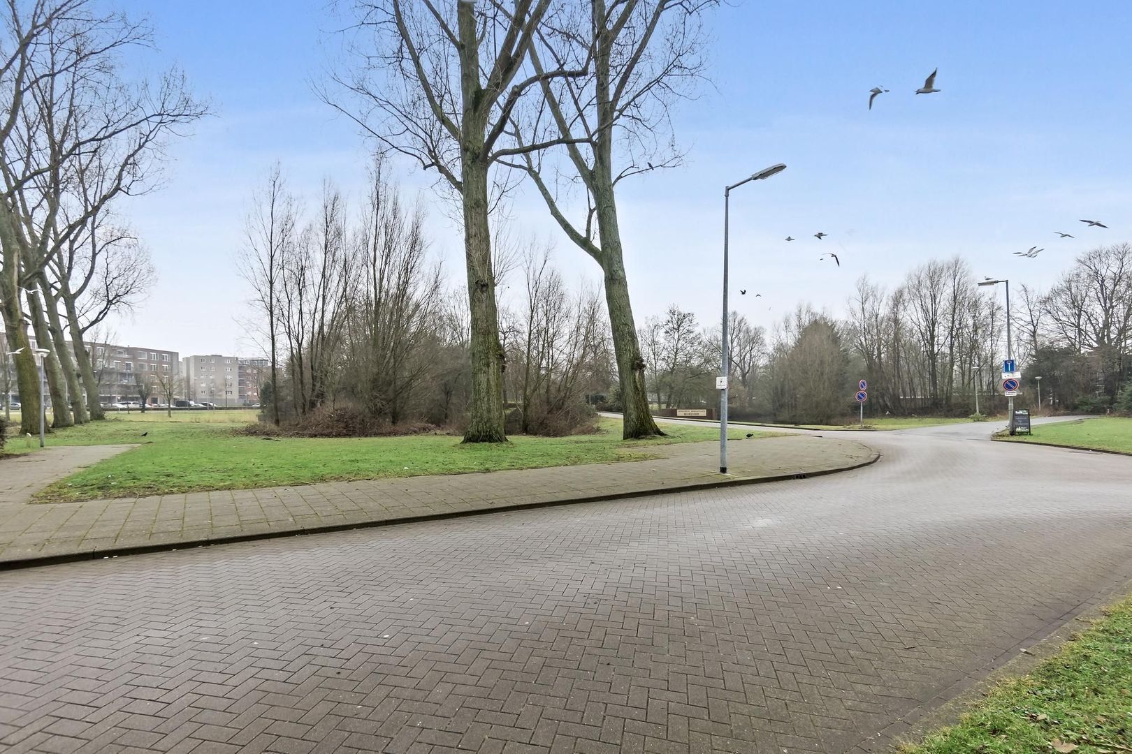 Burgemeester Van Haarenlaan 1422, Schiedam foto-34 blur