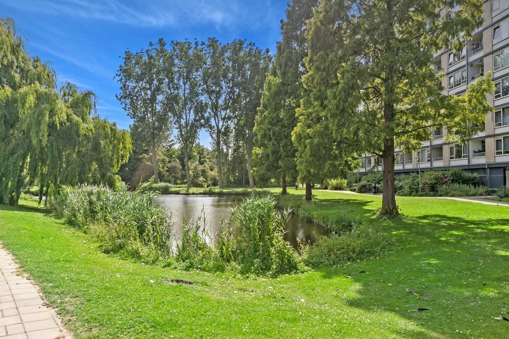Burgemeester Van Haarenlaan 1362, Schiedam foto-31 blur