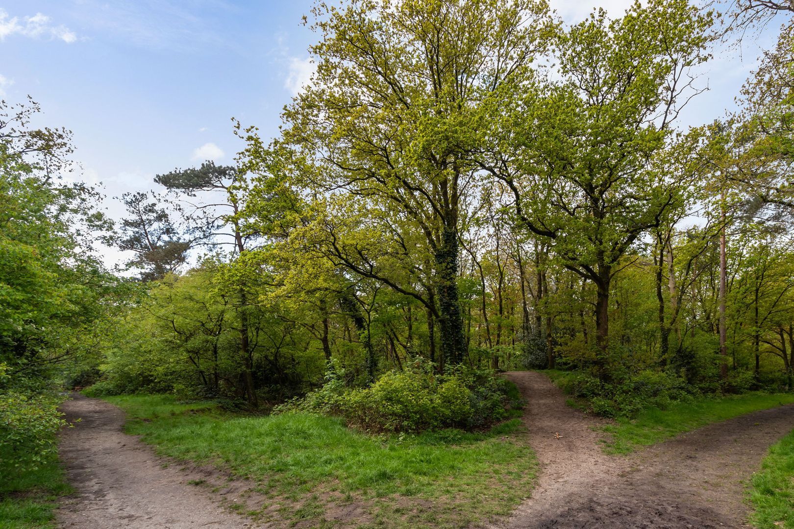 Aagje Dekenlaan 211, Bussum foto-31 blur