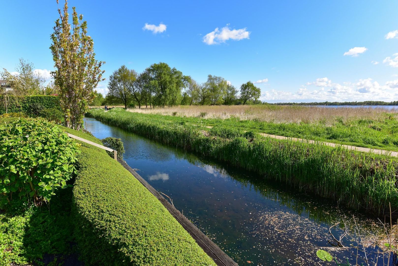De Biezen 12, Nederhorst Den Berg foto-25 blur