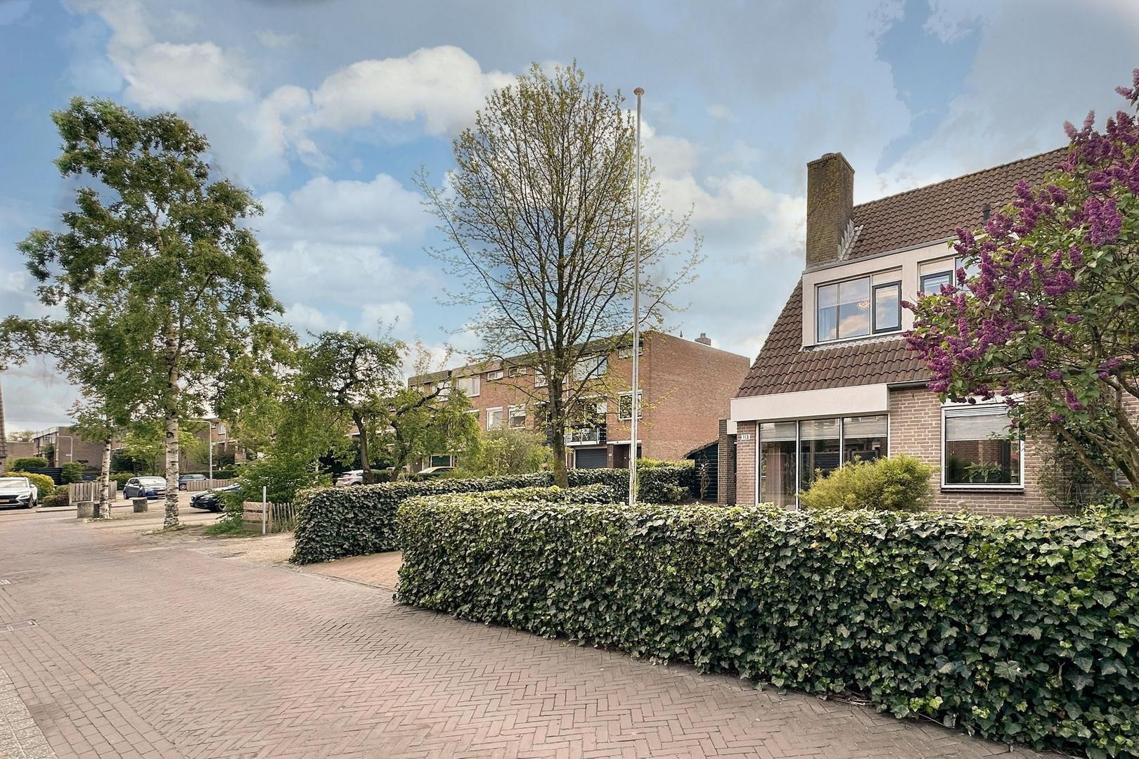 Willibrorduslaan 113, Hilversum foto-42 blur