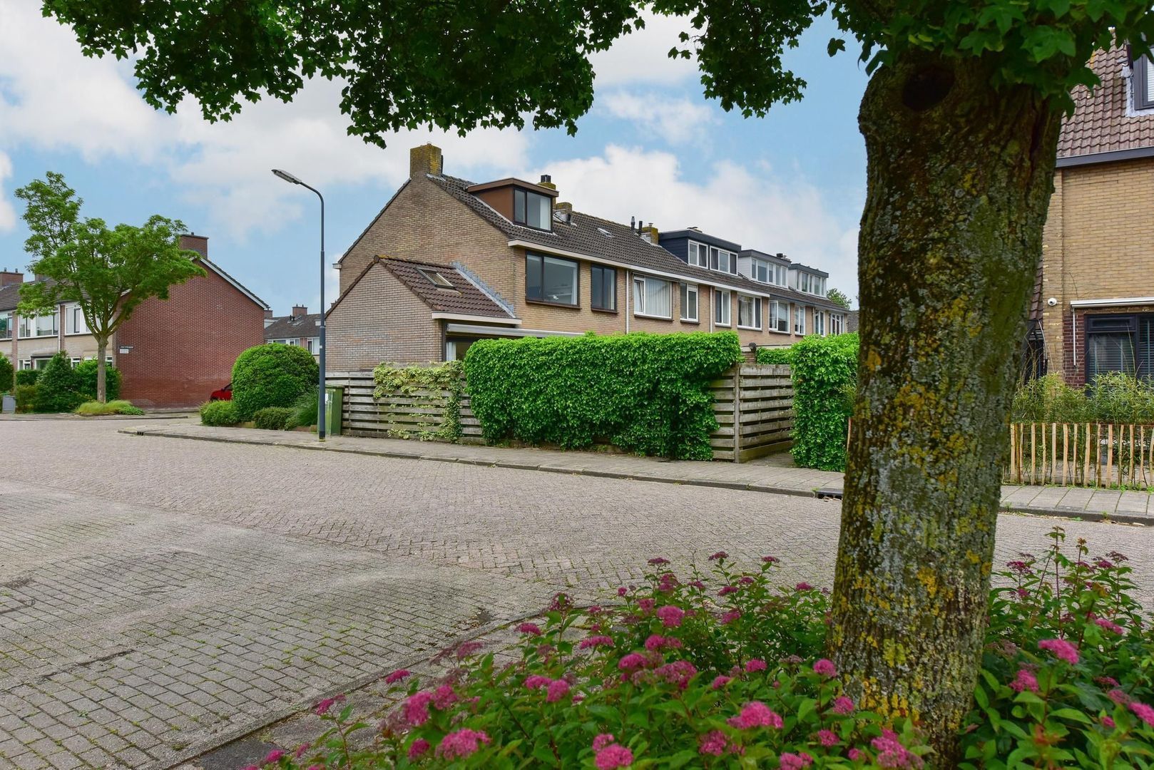 Jan Steenhof 2, Nederhorst Den Berg foto-26 blur