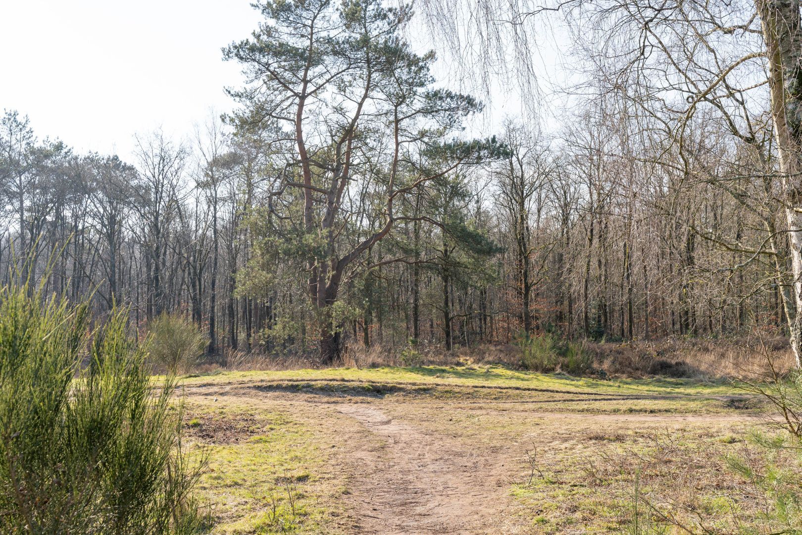 Admiraal de Ruyterlaan 131, Hilversum foto-18 blur