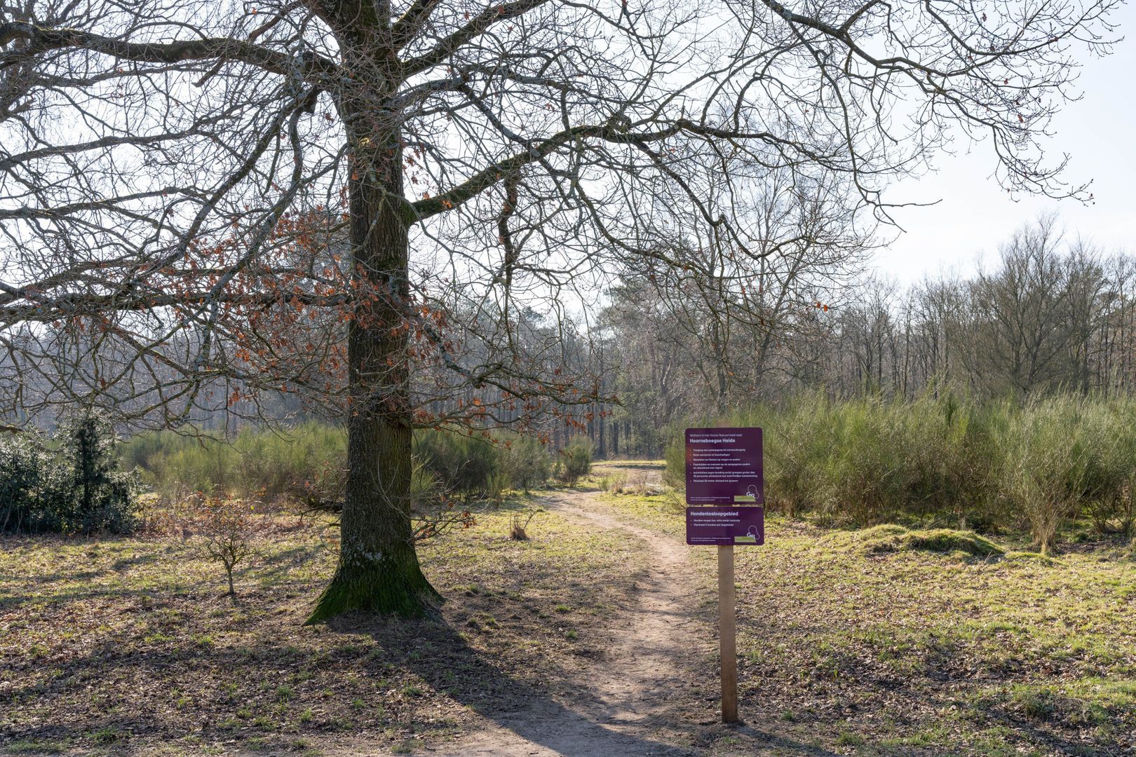 Admiraal de Ruyterlaan 131, Hilversum foto-17 blur