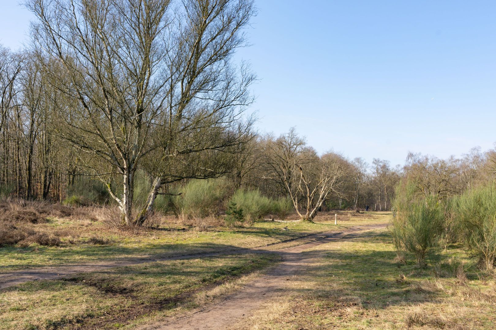 Admiraal de Ruyterlaan 131, Hilversum foto-19 blur