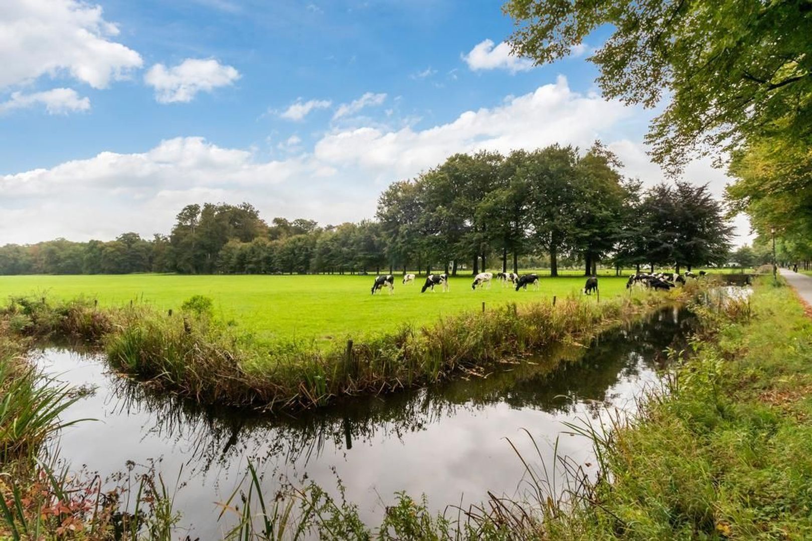 Zuidereinde 252 a, 's-Graveland foto-30 blur