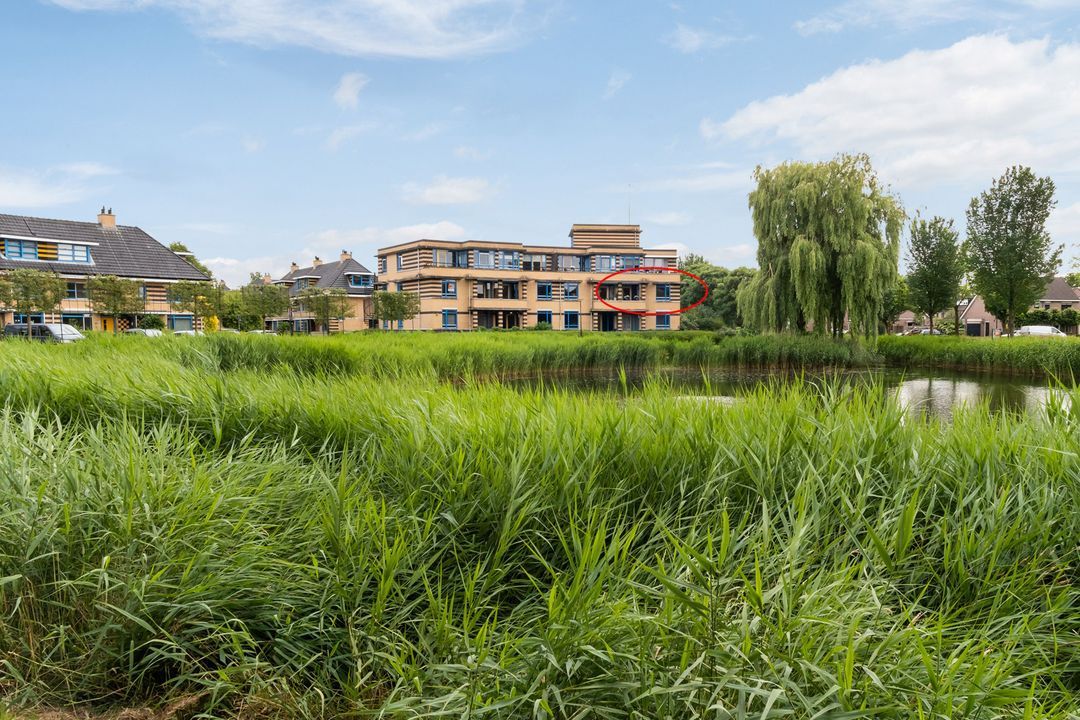 Kim 20, Baarn