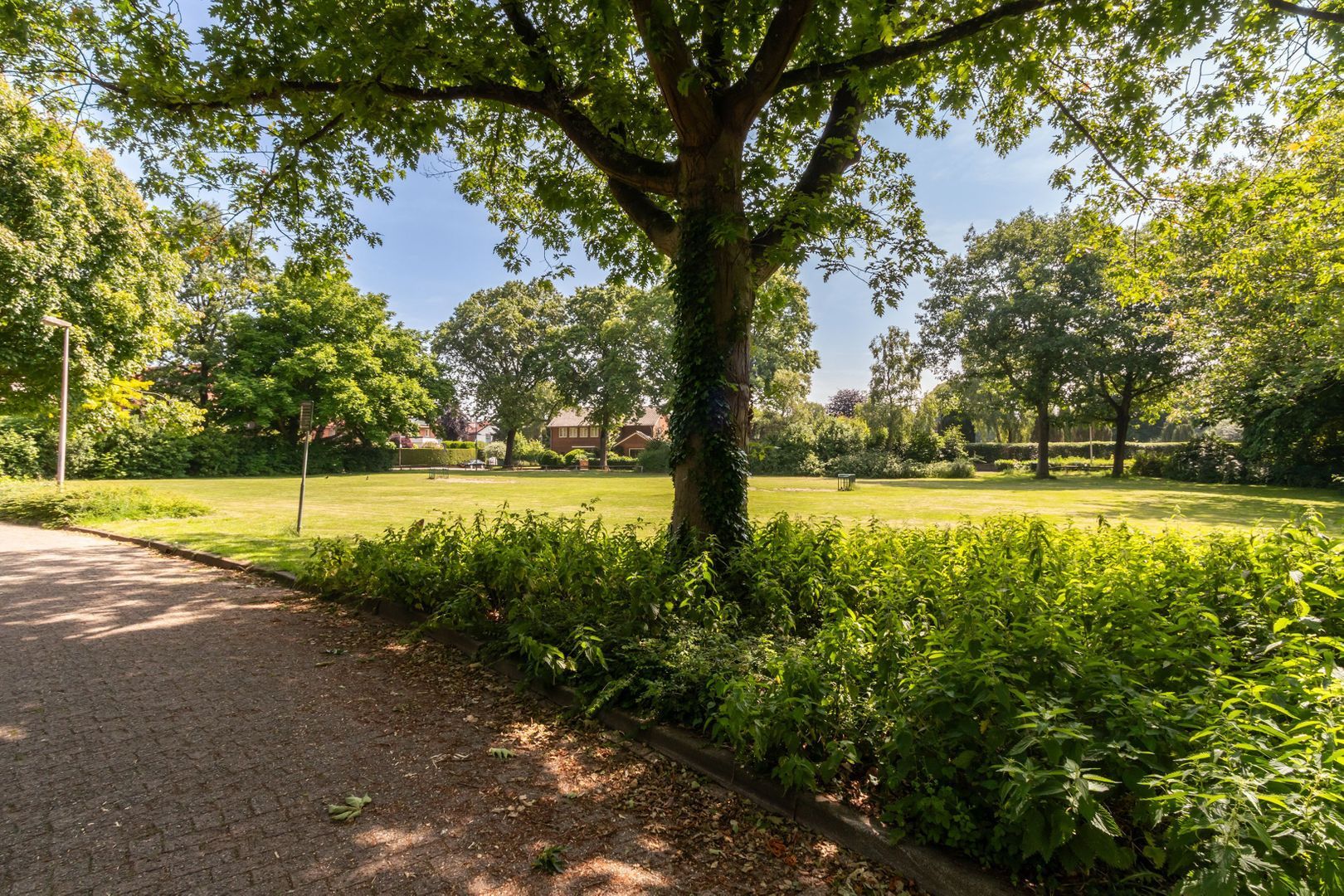 Gooiberg 29, Bussum foto-25 blur