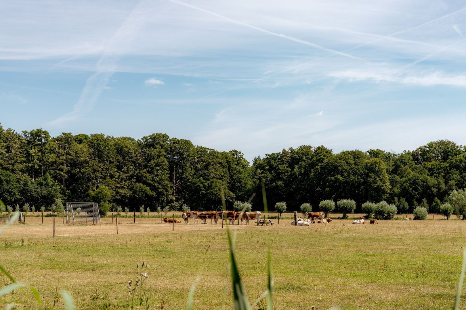 Noordereinde 49 d, 's-Graveland foto-23 blur