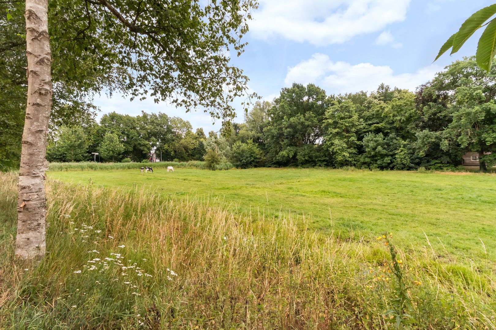 Kerkstraat 26, Nederhorst den Berg foto-21 blur