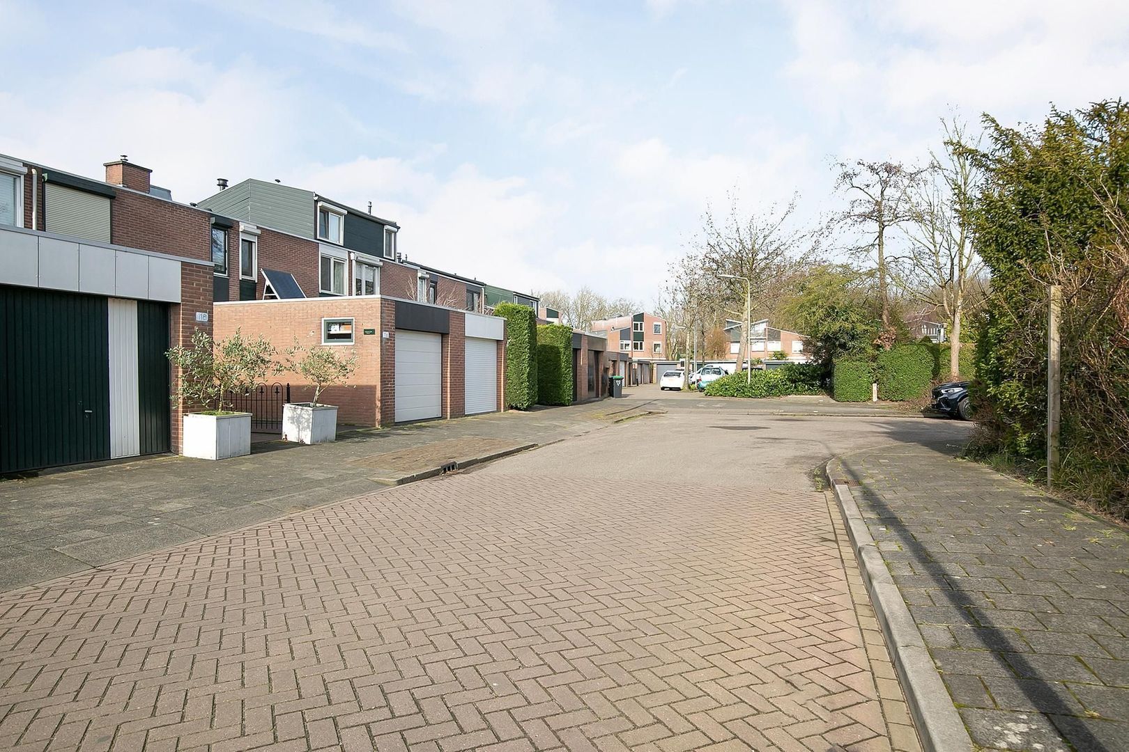 Bark 114, Barendrecht foto-30 blur