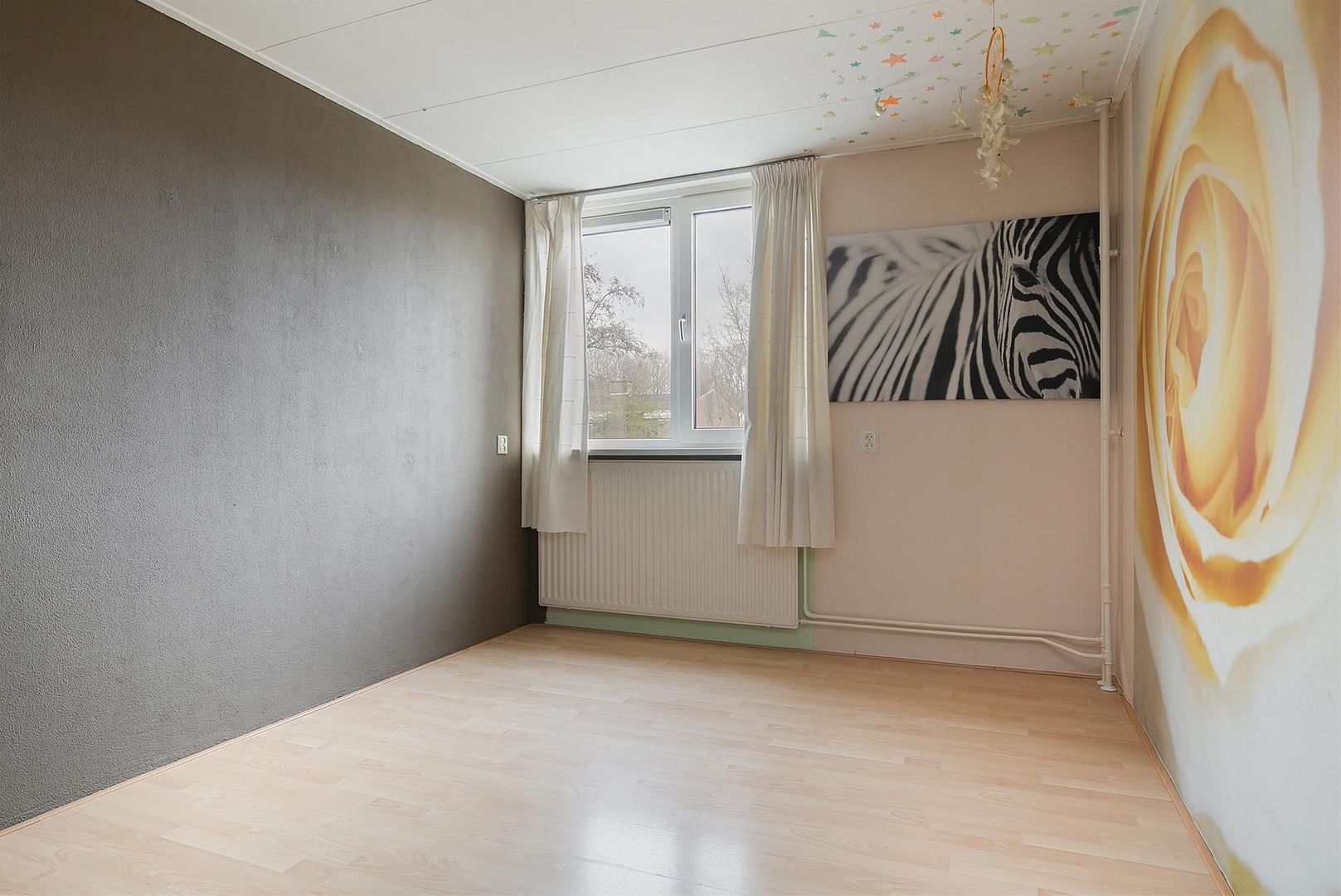 Bark 114, Barendrecht foto-17 blur