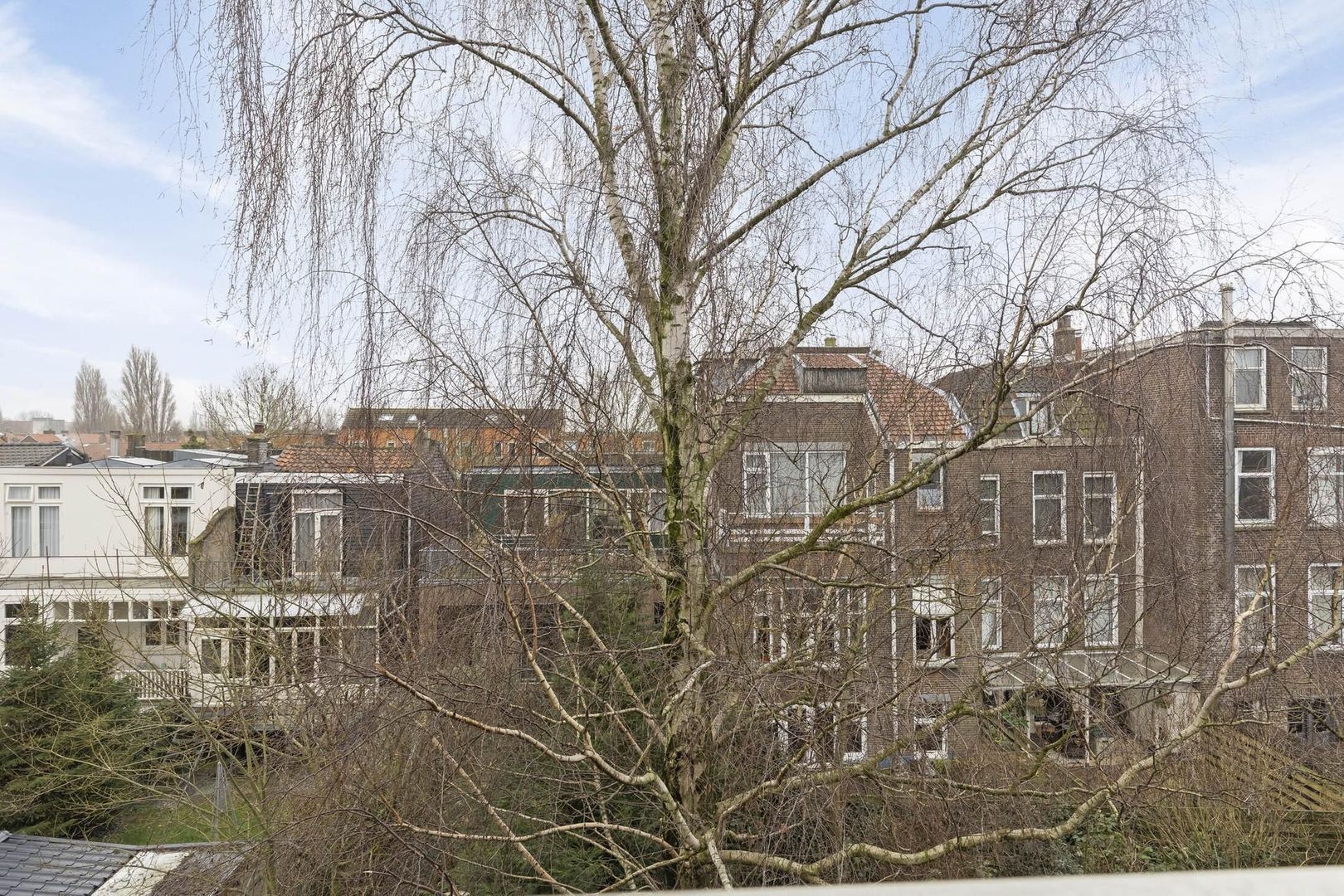 Willem de Zwijgerstraat 8 F, Rotterdam foto-26 blur