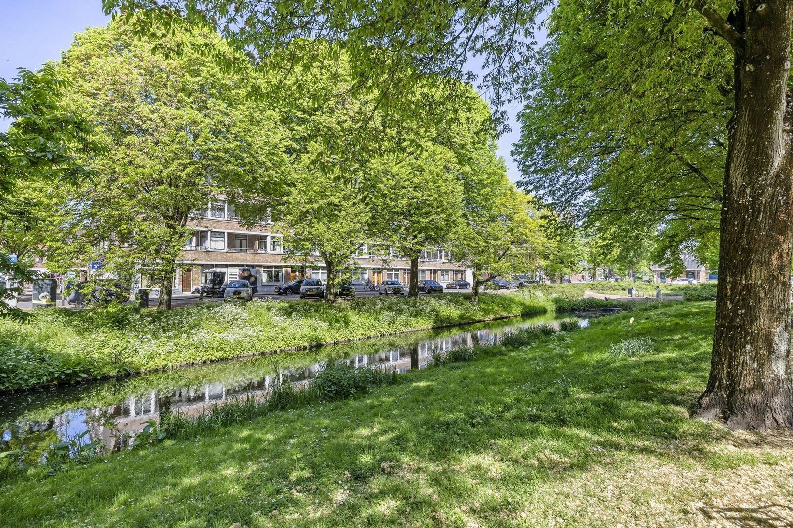 Newtonplein 49, Schiedam foto-23 blur