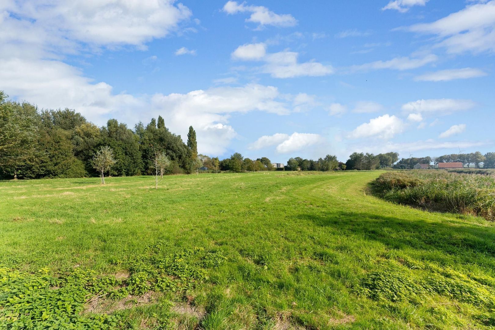 Essendijk 72, Rhoon foto-63 blur