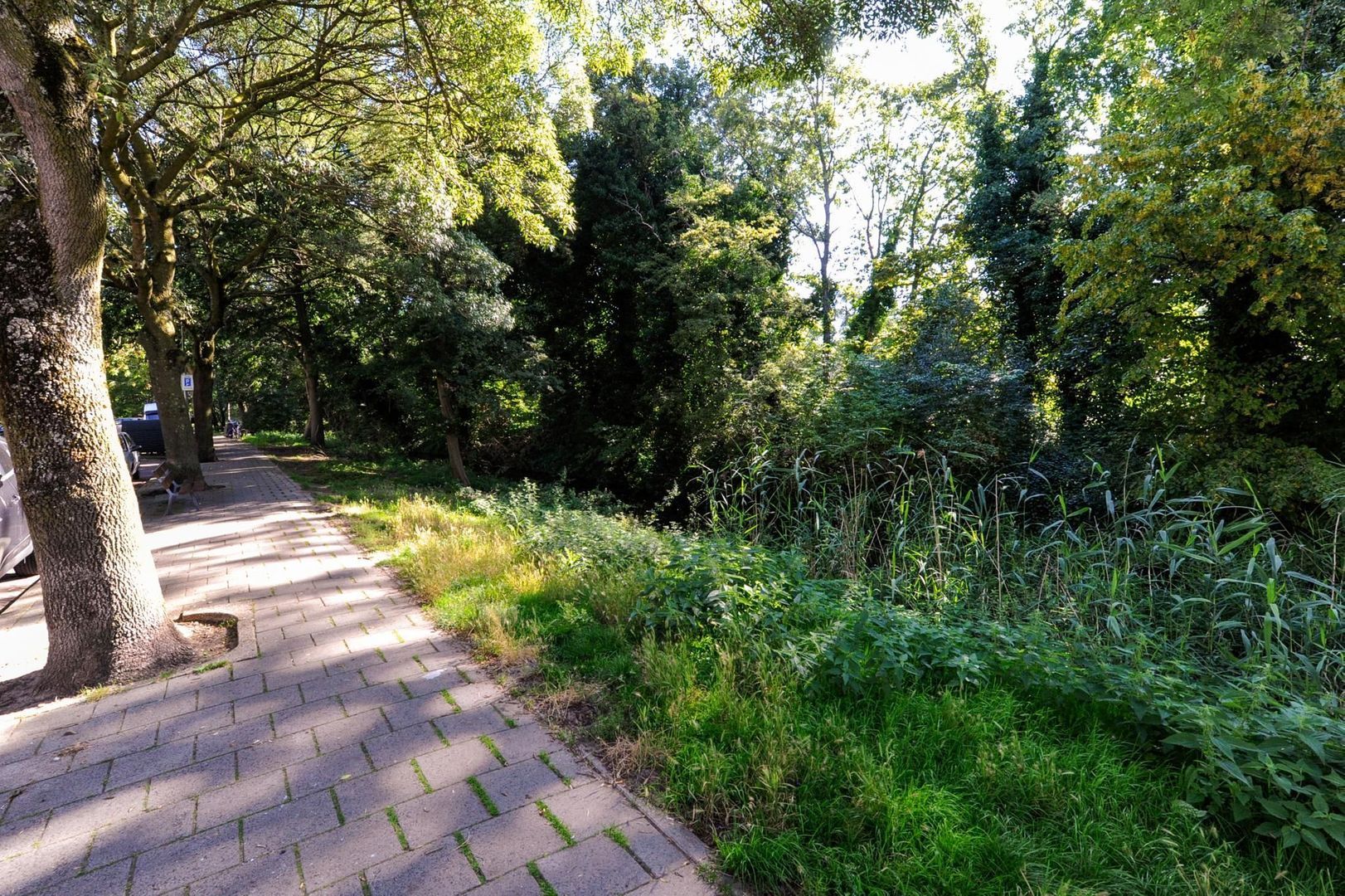 Sinjeur Semeynsweg 133, Den Haag foto-36 blur