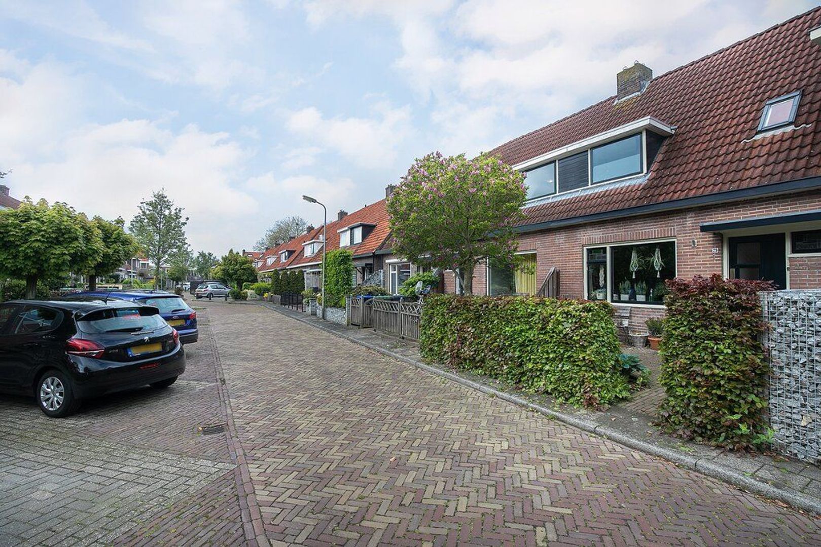 Jan van Galenstraat 29, Meppel foto-25 blur