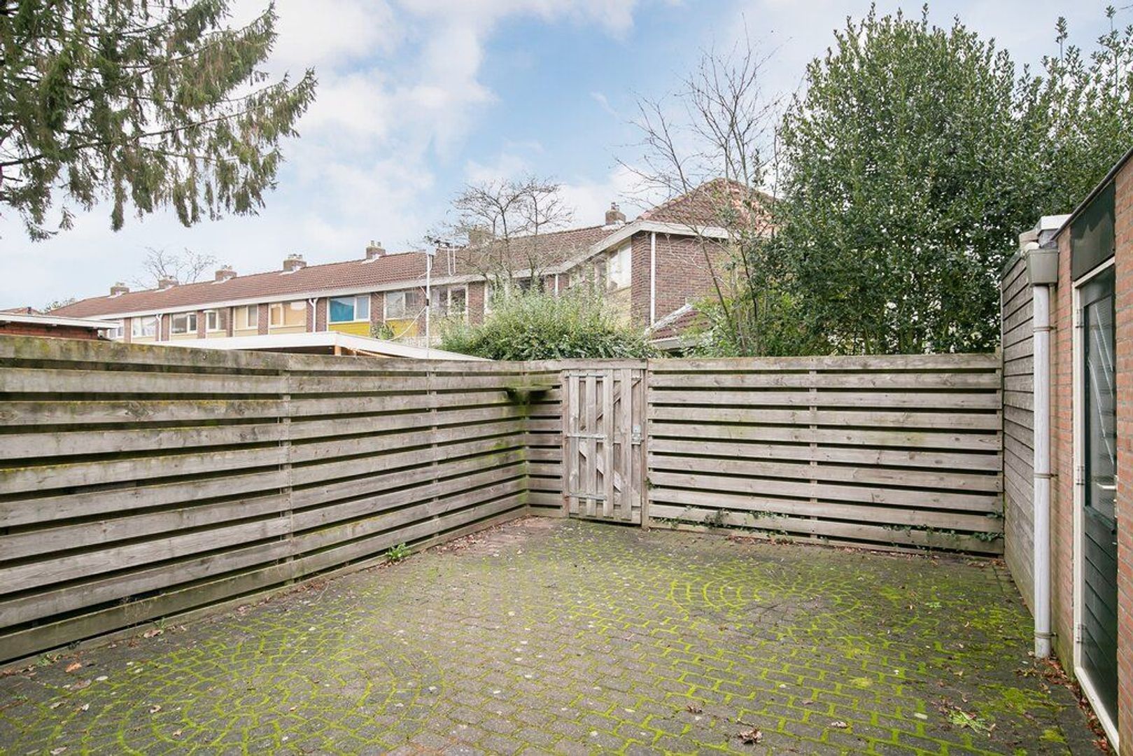 Burgemeester Knopperslaan 6, Meppel foto-23 blur
