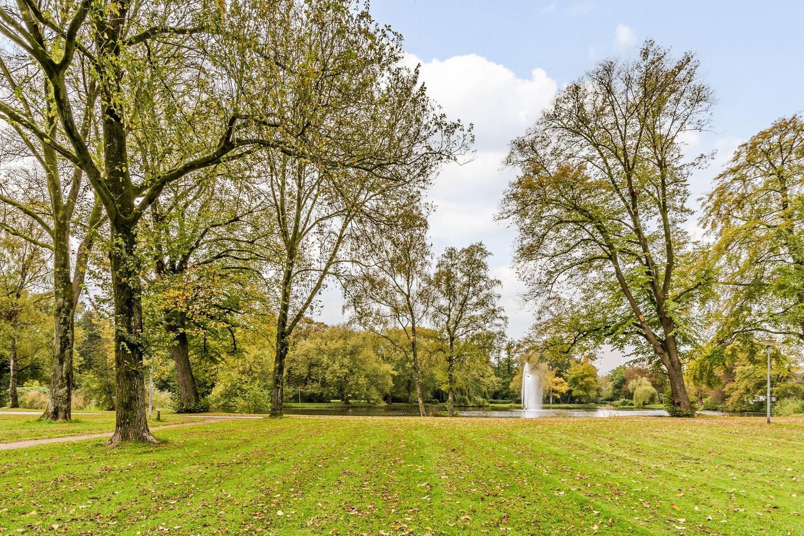 Wilhelminapark 2, Meppel foto-51 blur