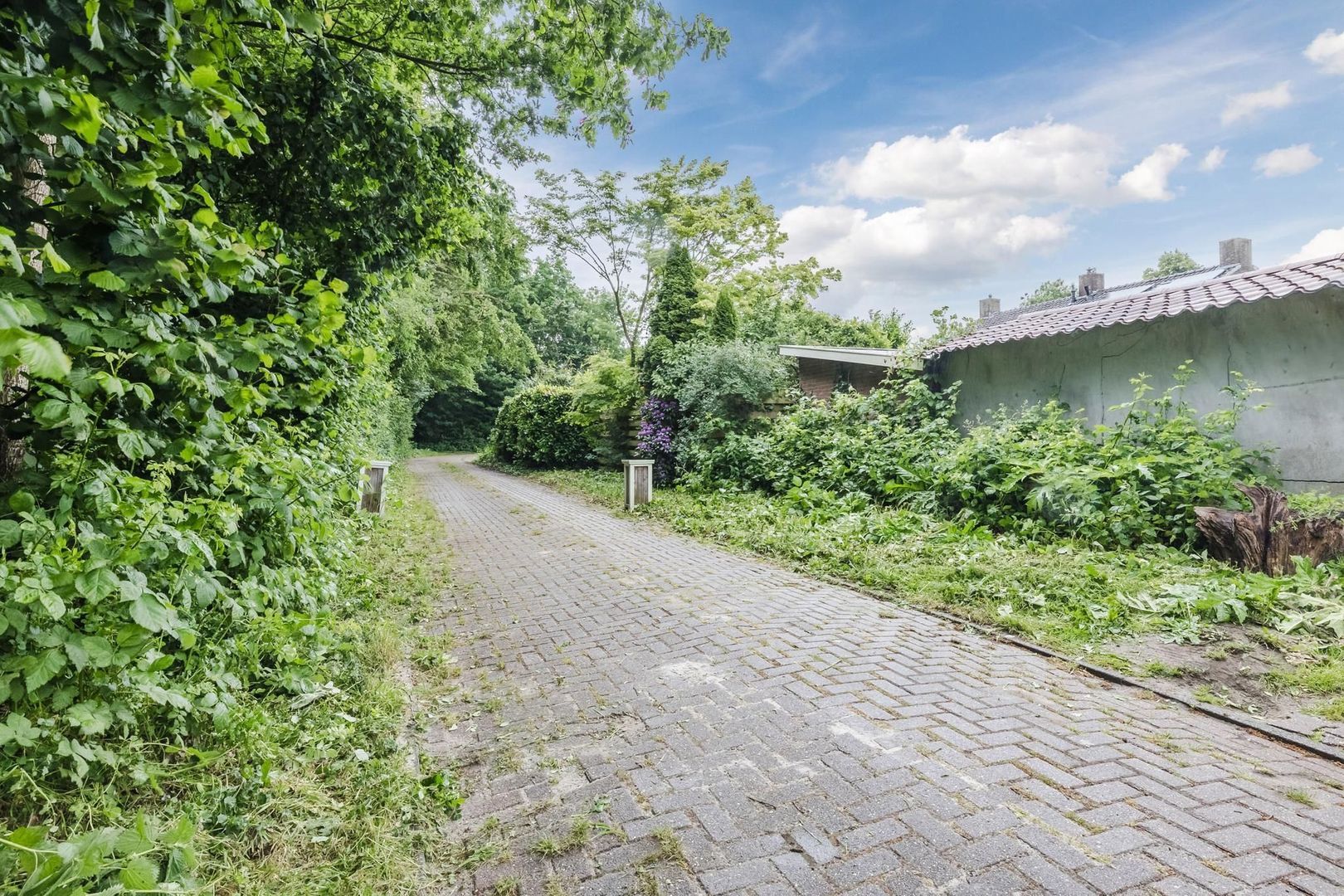 Ambachtsweg 1, Meppel foto-34 blur
