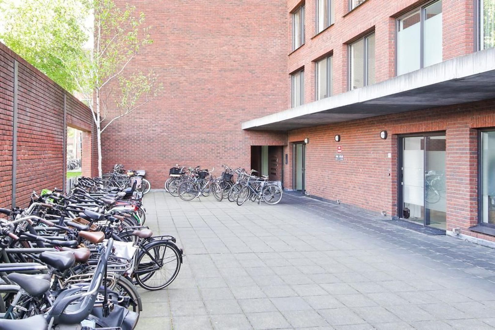 Bogortuin 121, Amsterdam foto-35 blur