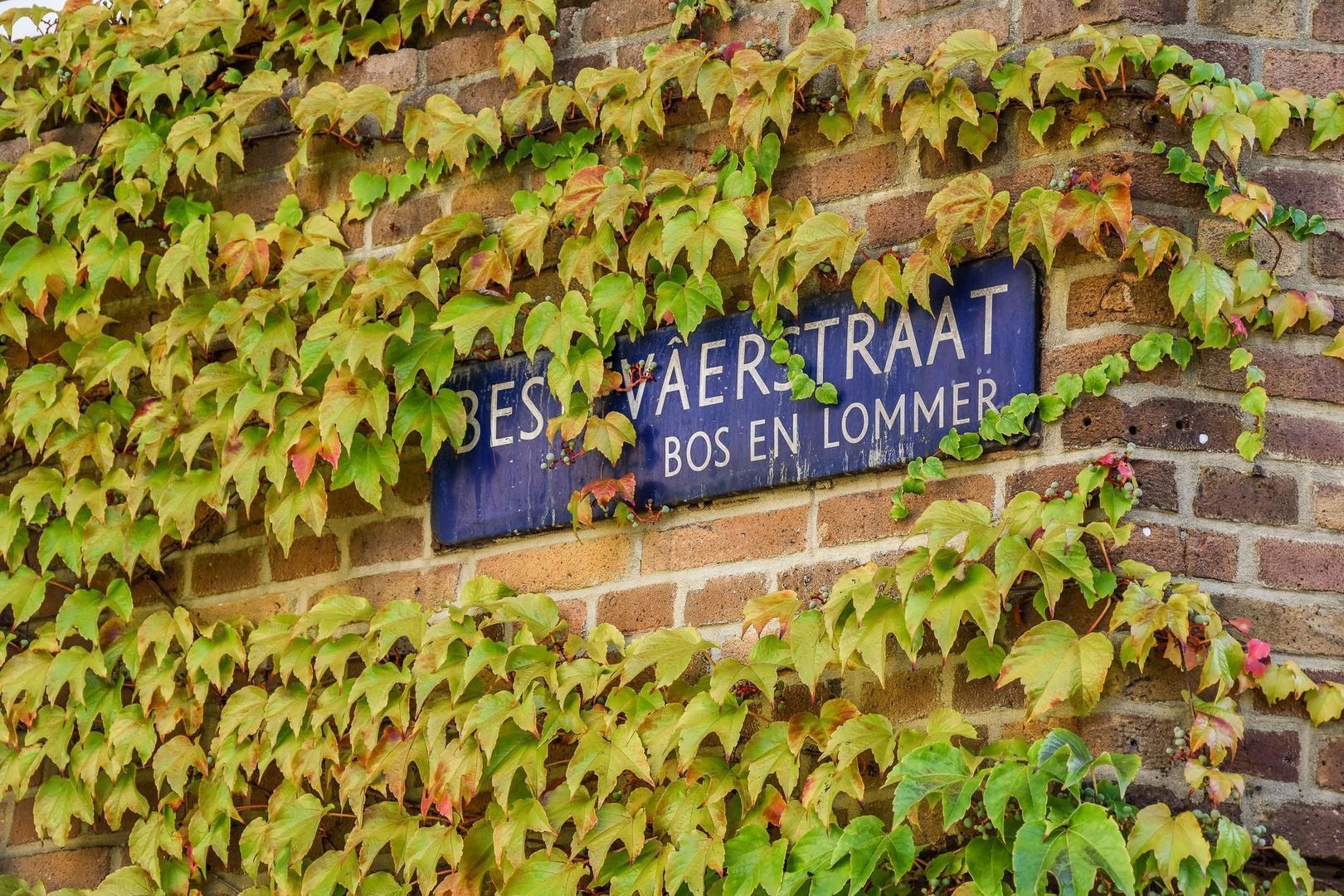 Bestevaerstraat 105 II, Amsterdam foto-17 blur