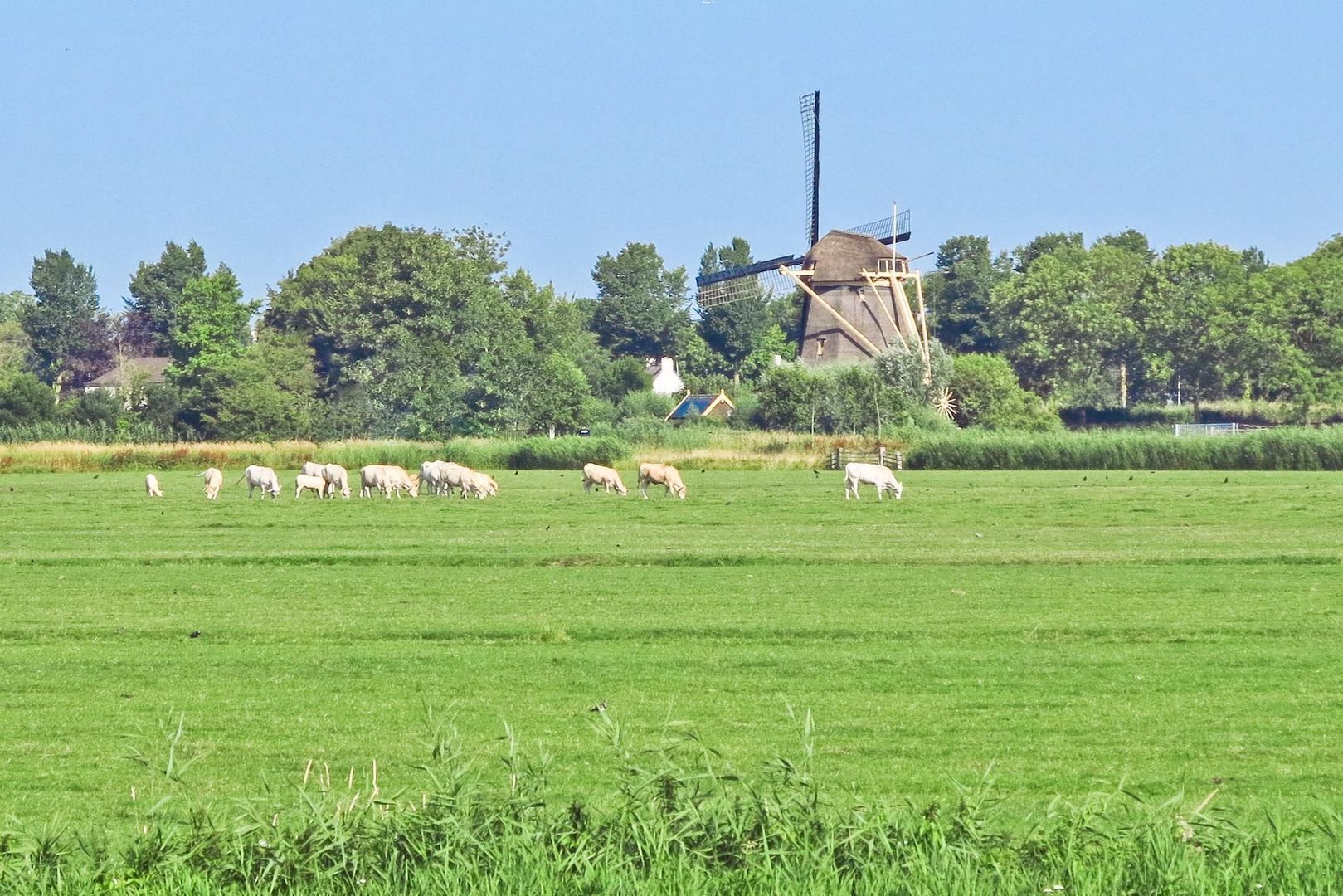 Rondehoep Oost 13, Ouderkerk Aan De Amstel foto-53 blur