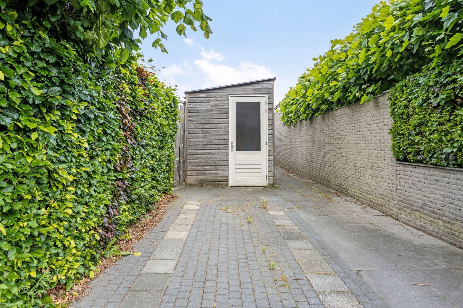 Boskriek 2, Alphen foto-25
