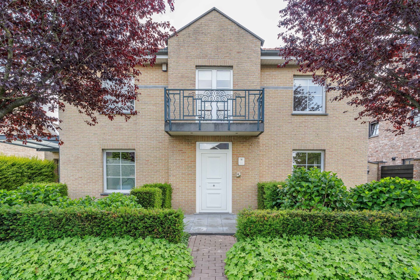 Kastelein 16, Baarle-Hertog foto-66