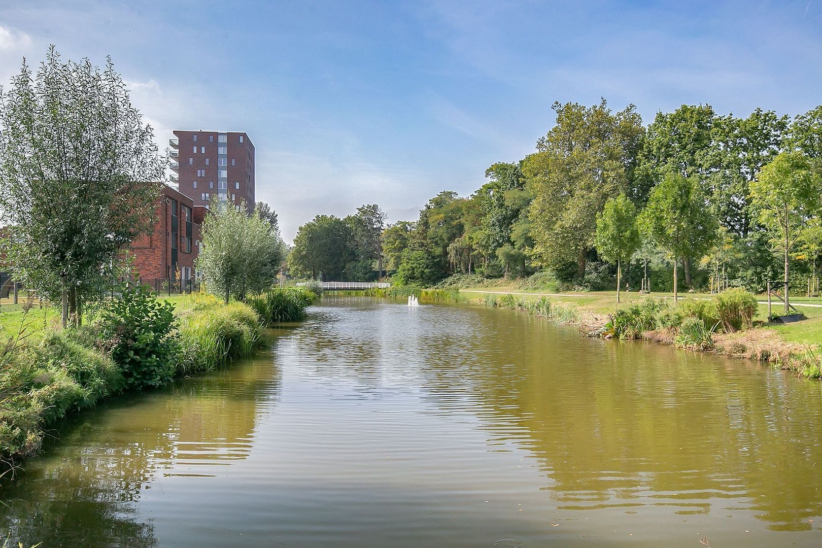 Parkweg 405 d, Schiedam foto-24 blur