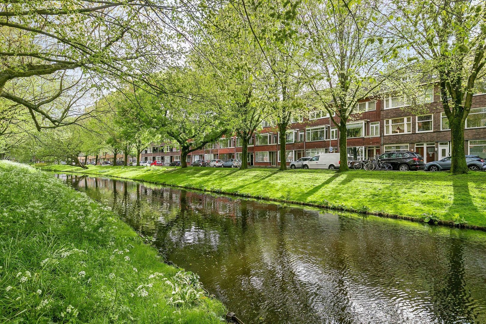 Buys Ballotsingel 79, Schiedam foto-46 blur