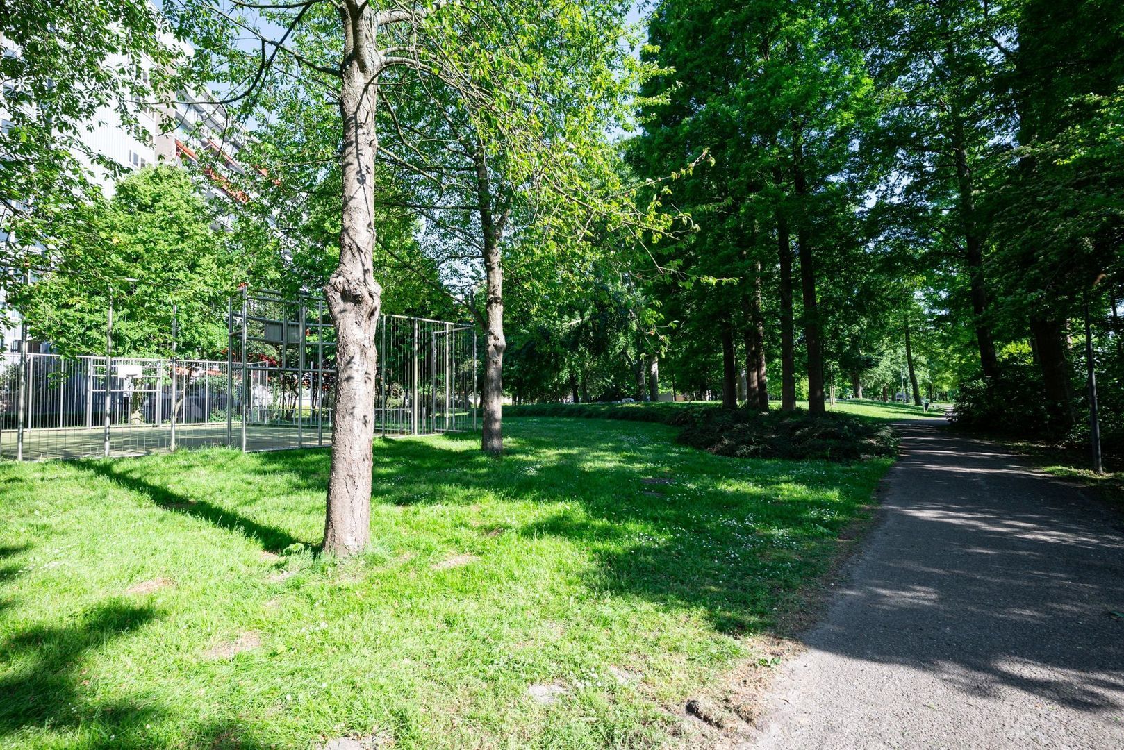 Sibeliusplein 274, Schiedam foto-23 blur