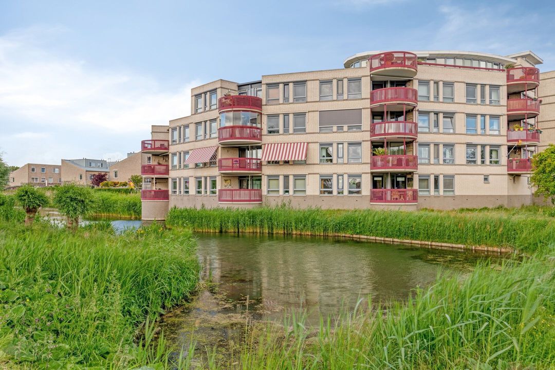 Kamilleveld 38, Schiedam
