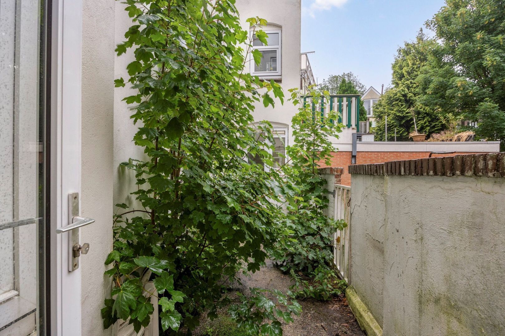 Mariastraat 181, Schiedam foto-15 blur