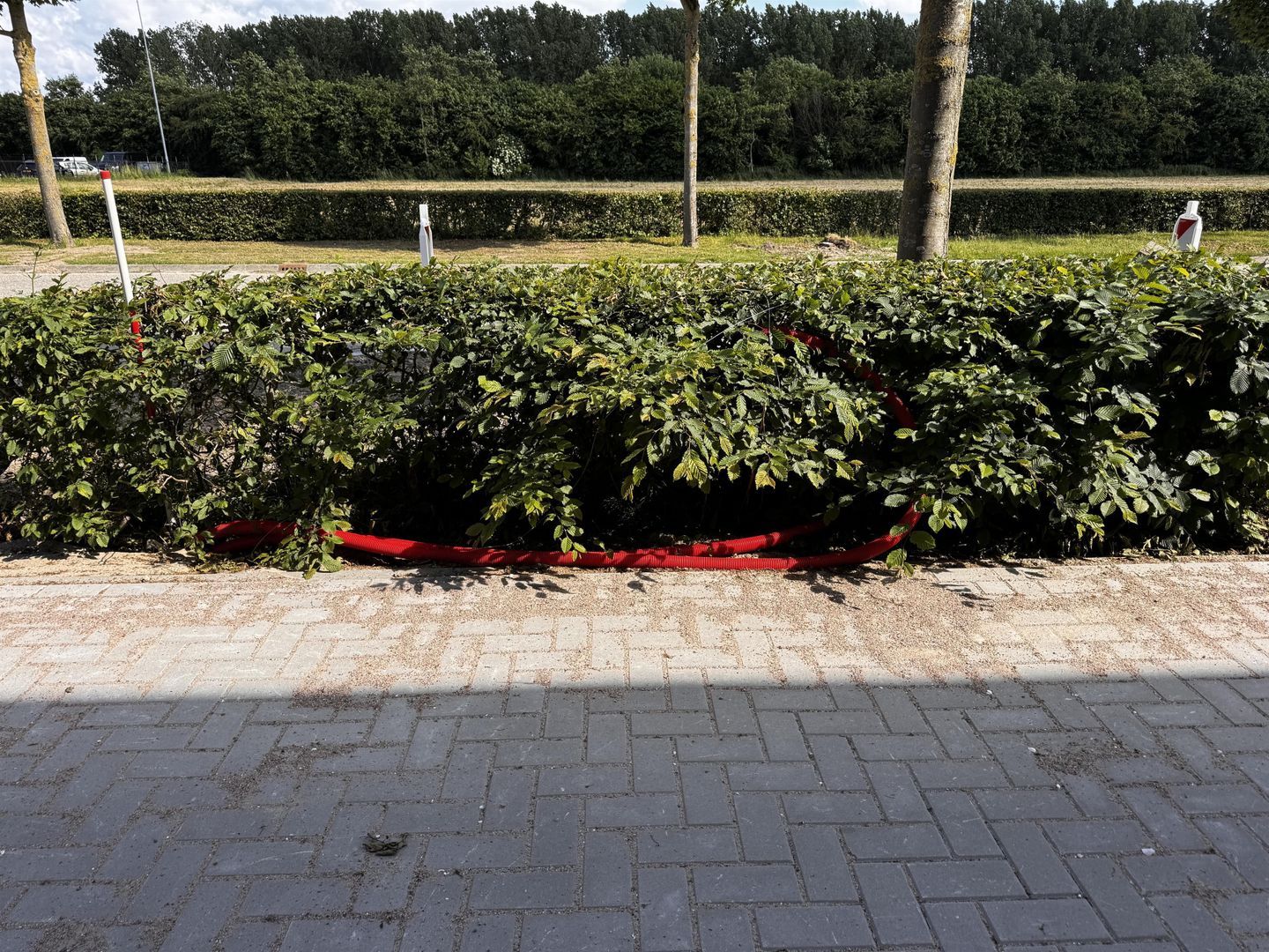 Cavalier 6, Zeewolde foto-39 blur