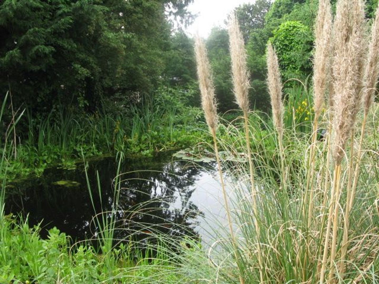 Slingerweg 5, Aerdenhout foto-6 blur