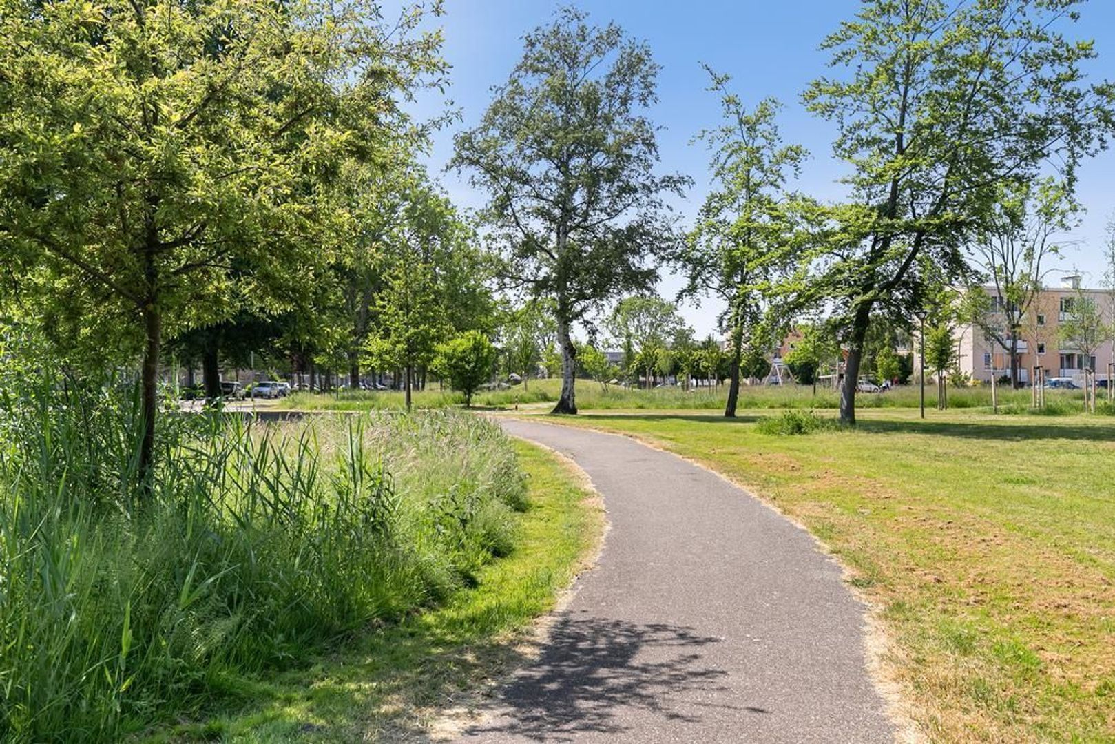 Seringenstraat 48, Vlaardingen foto-46 blur