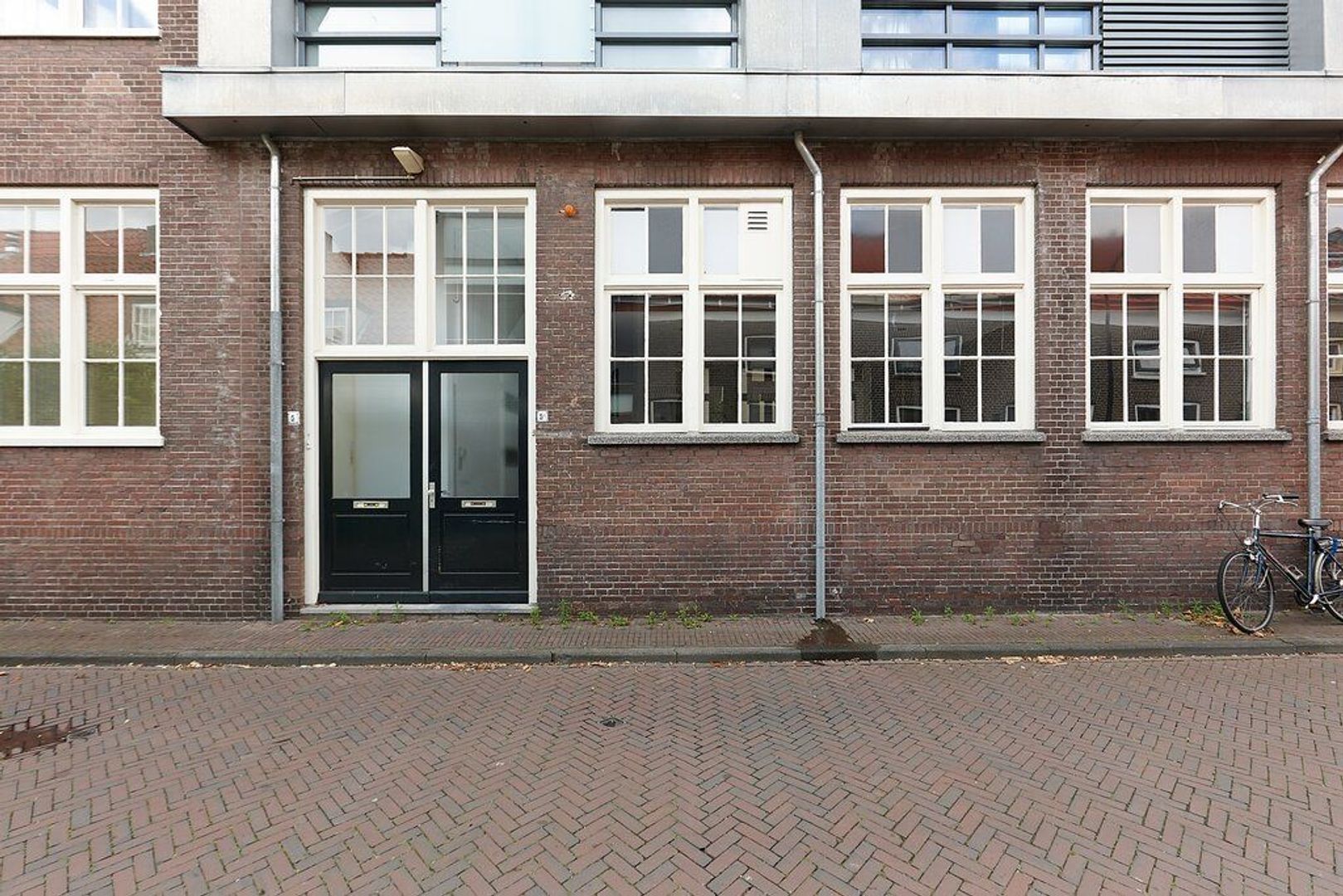 Pluympot, Delft foto-25 blur