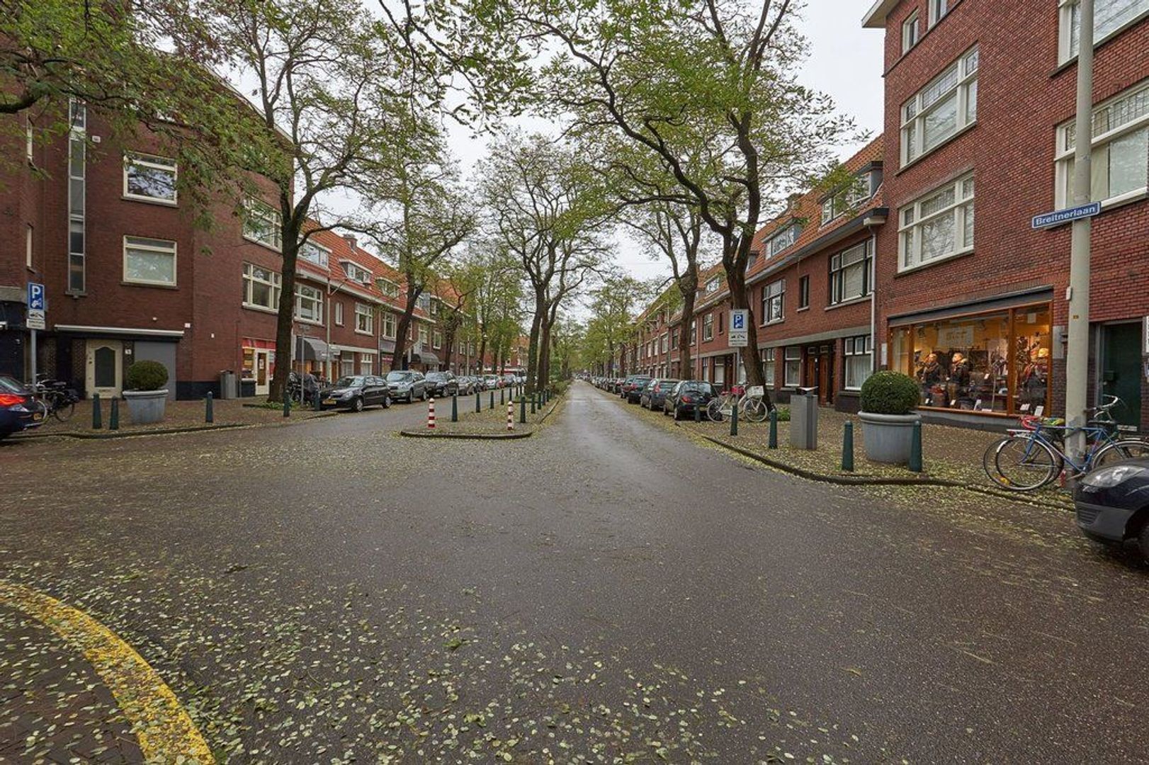Van Hoytemastraat, Den Haag foto-28