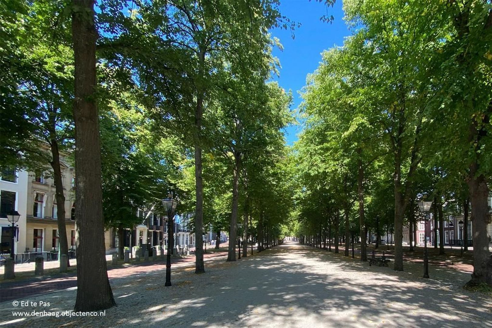Nieuwe Schoolstraat, Den Haag foto-30 blur