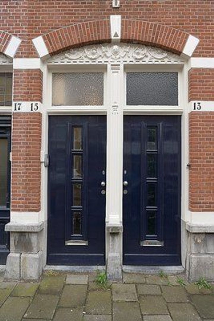 Rijklof van Goensstraat, Den Haag foto-25